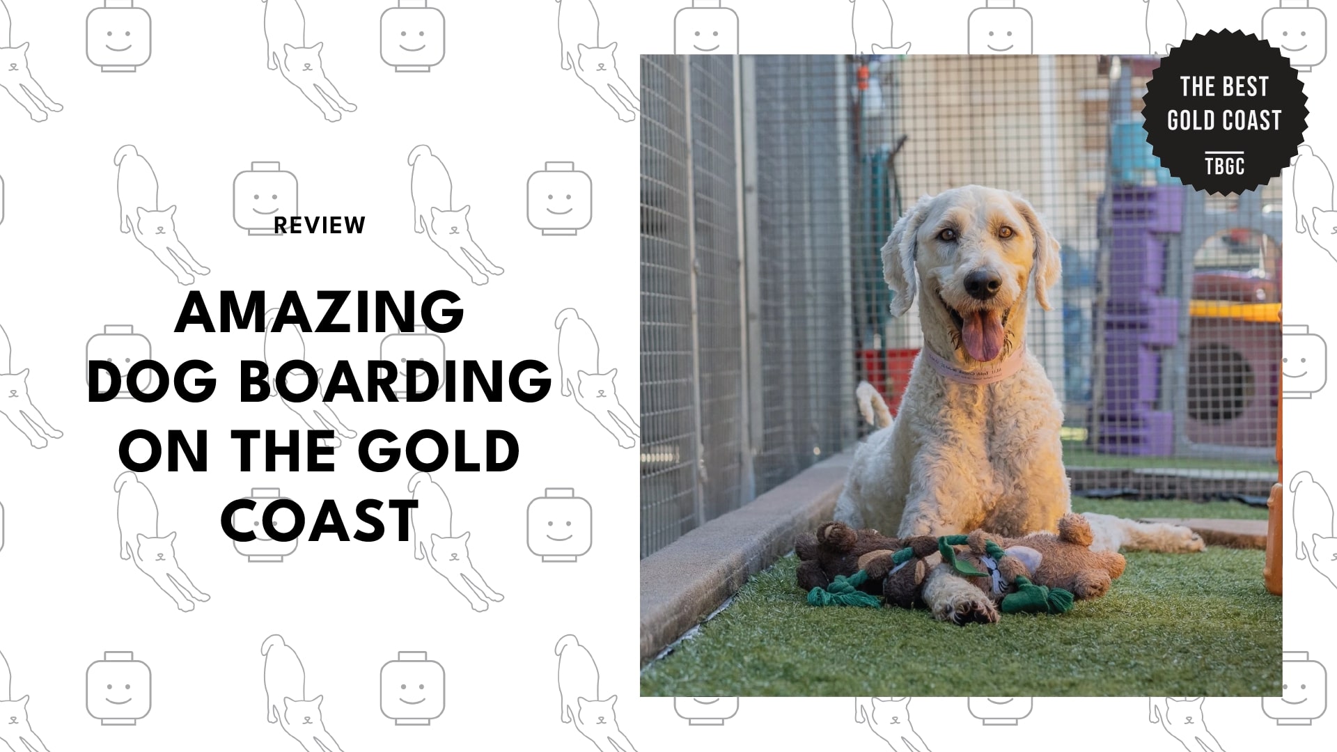 best-dog-boarding-gold-coast-banner