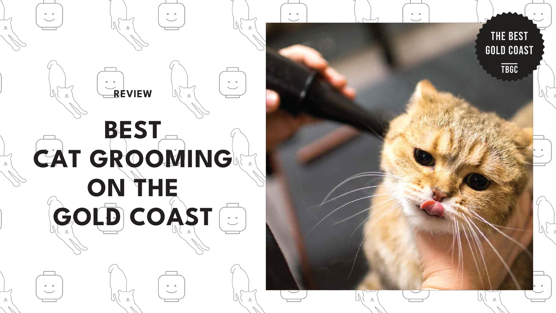 best-cat-grooming-gold-coast-banner