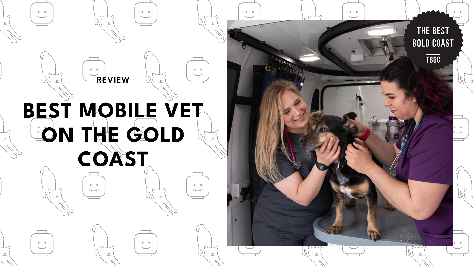 best-mobile-vet-gold-coast-banner