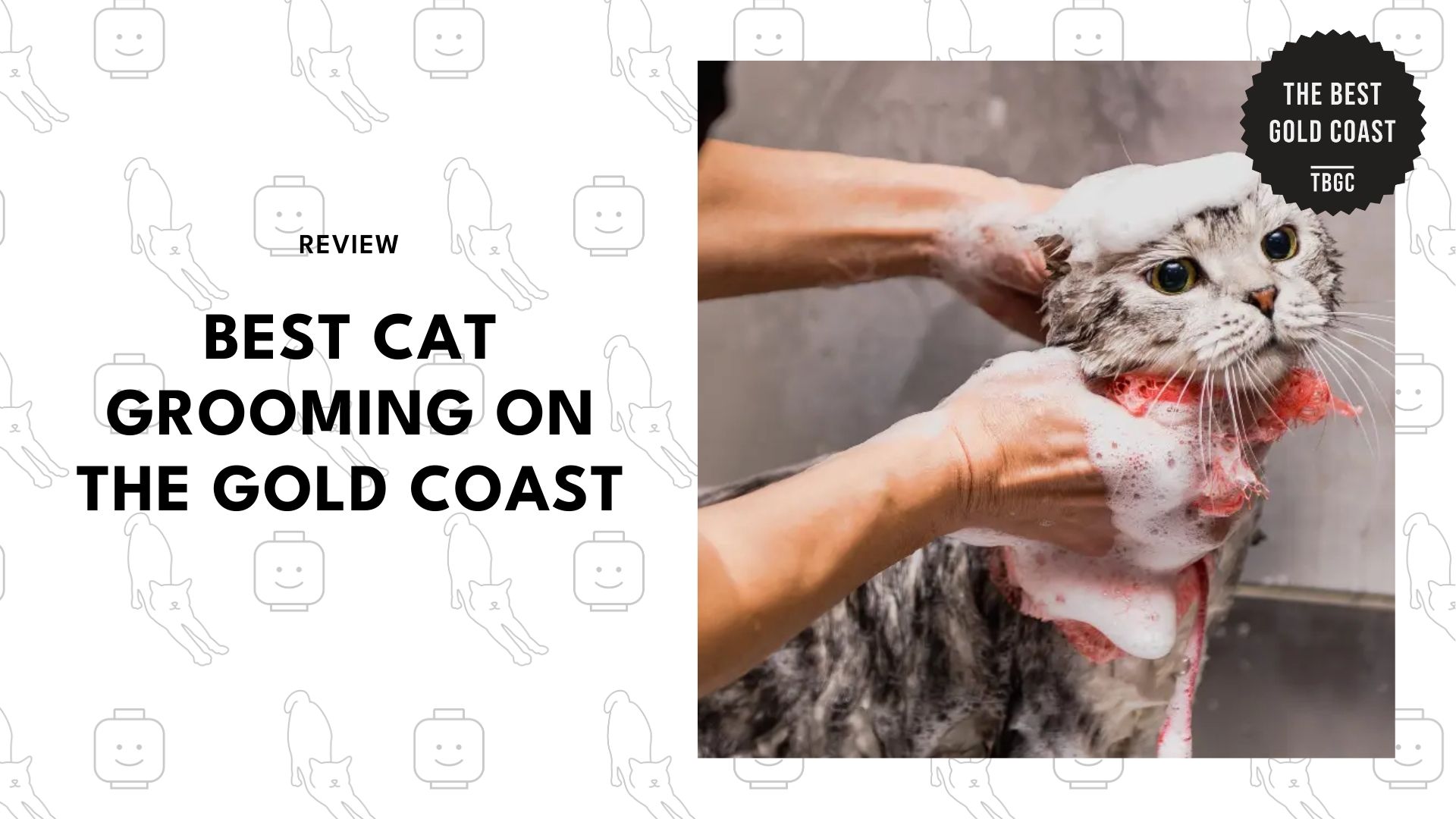 cat-grooming-gold-coast-banner