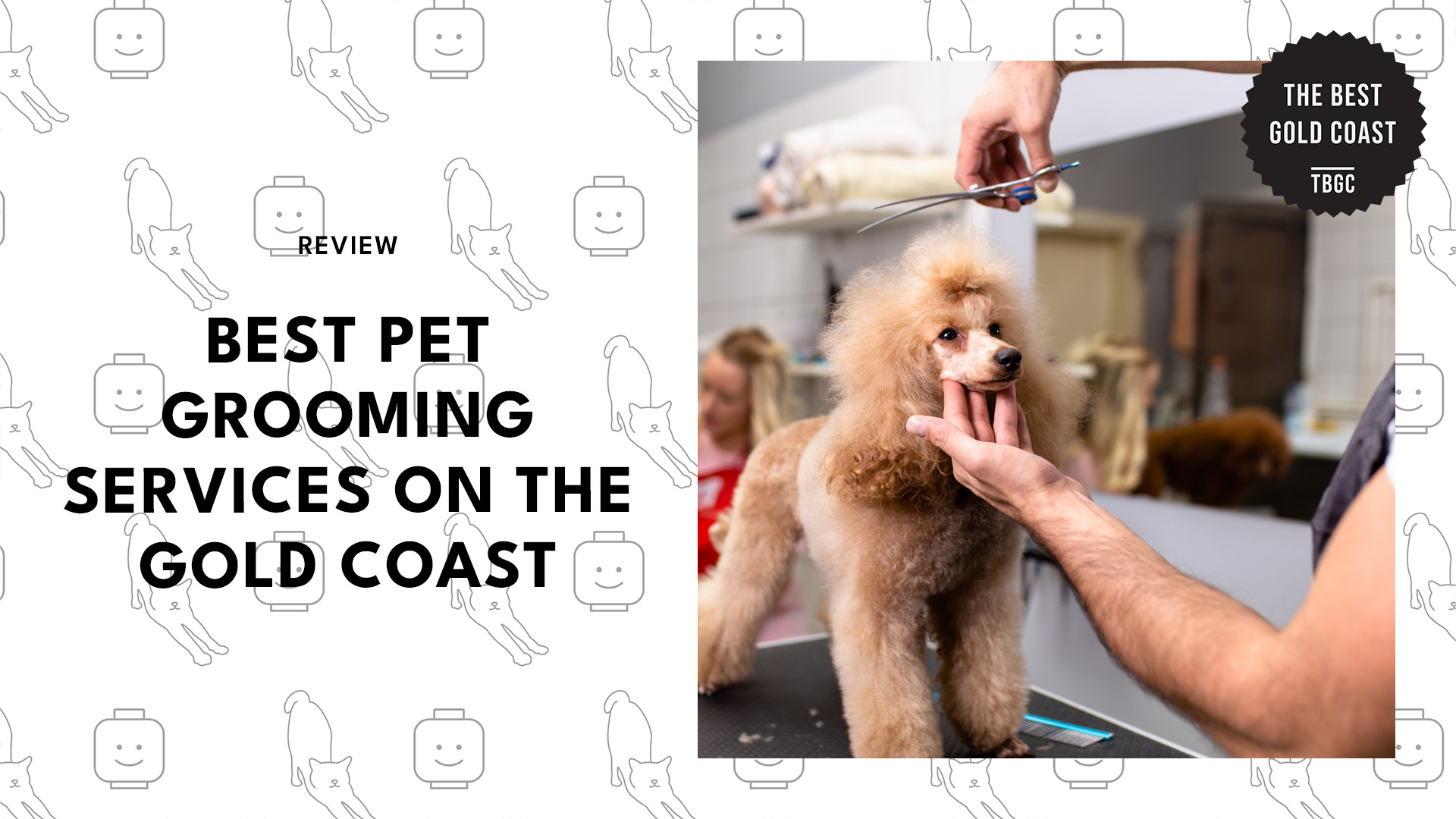 best-pet-grooming-gold-coast-banner