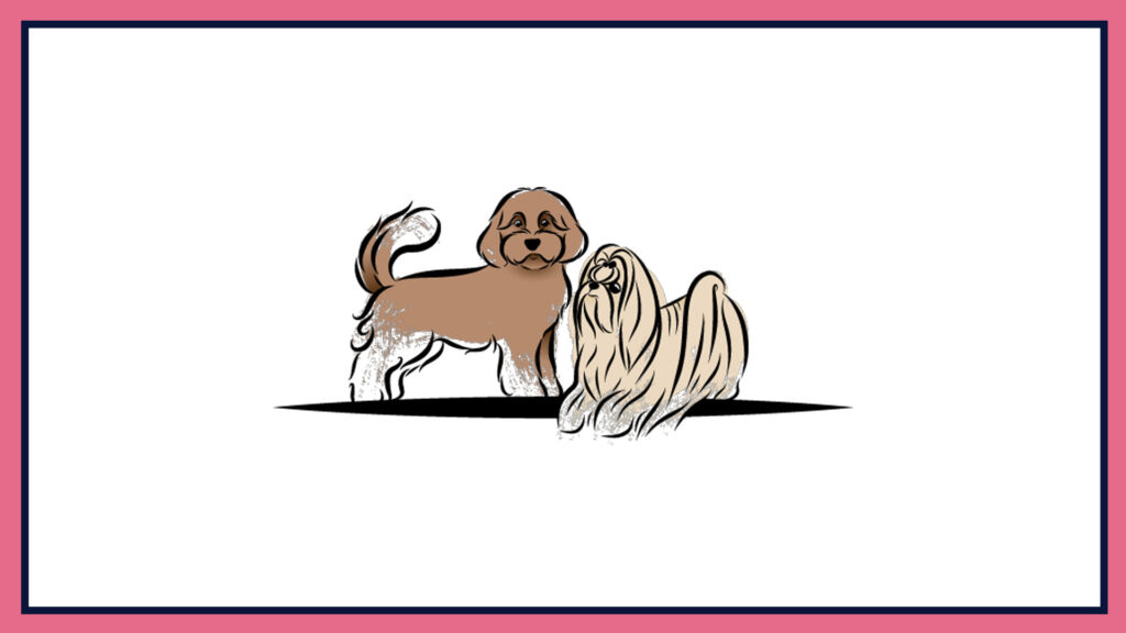 petz-with-pizazz-logo