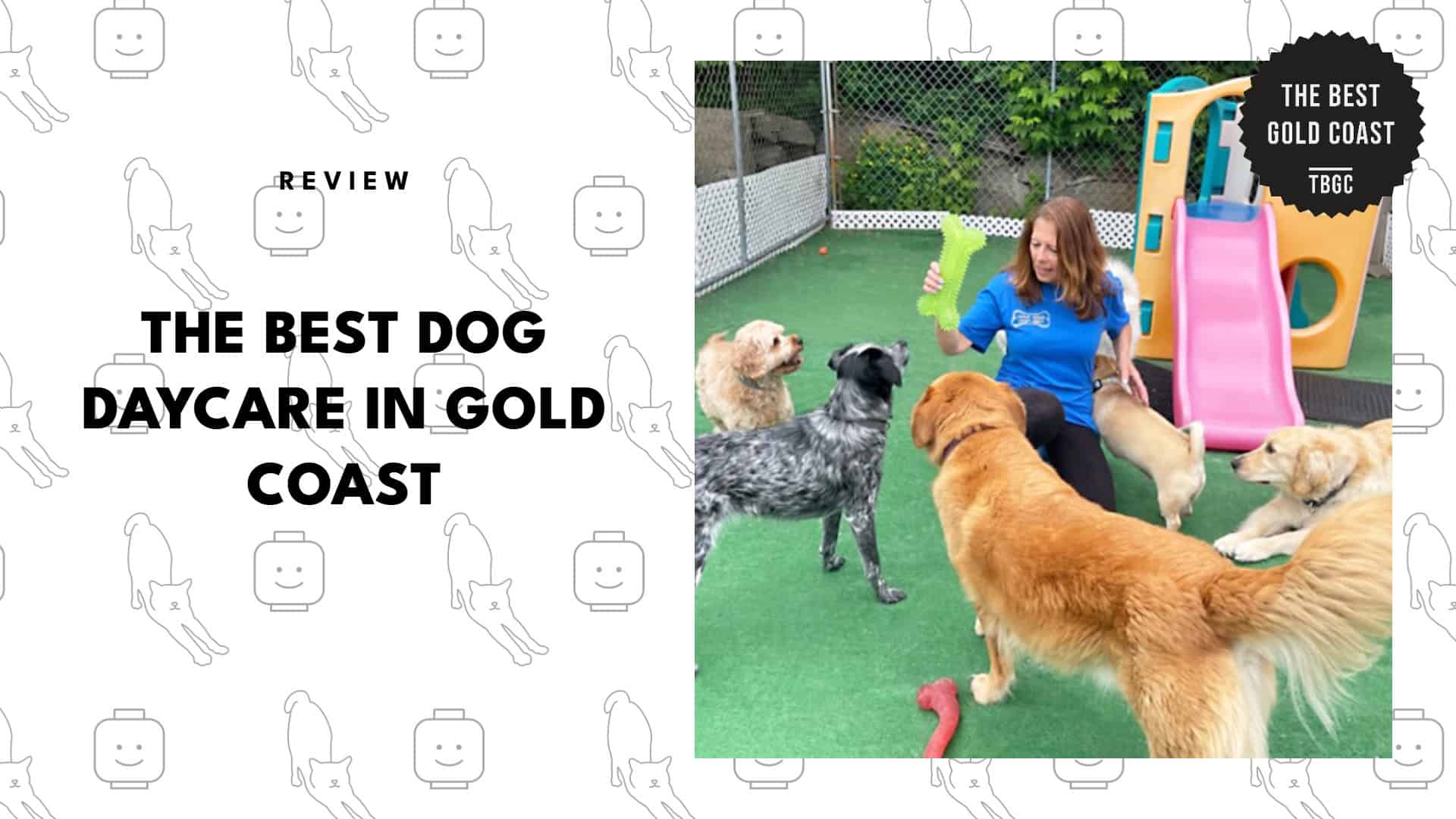 best-dog-daycare-gold-coast-banner