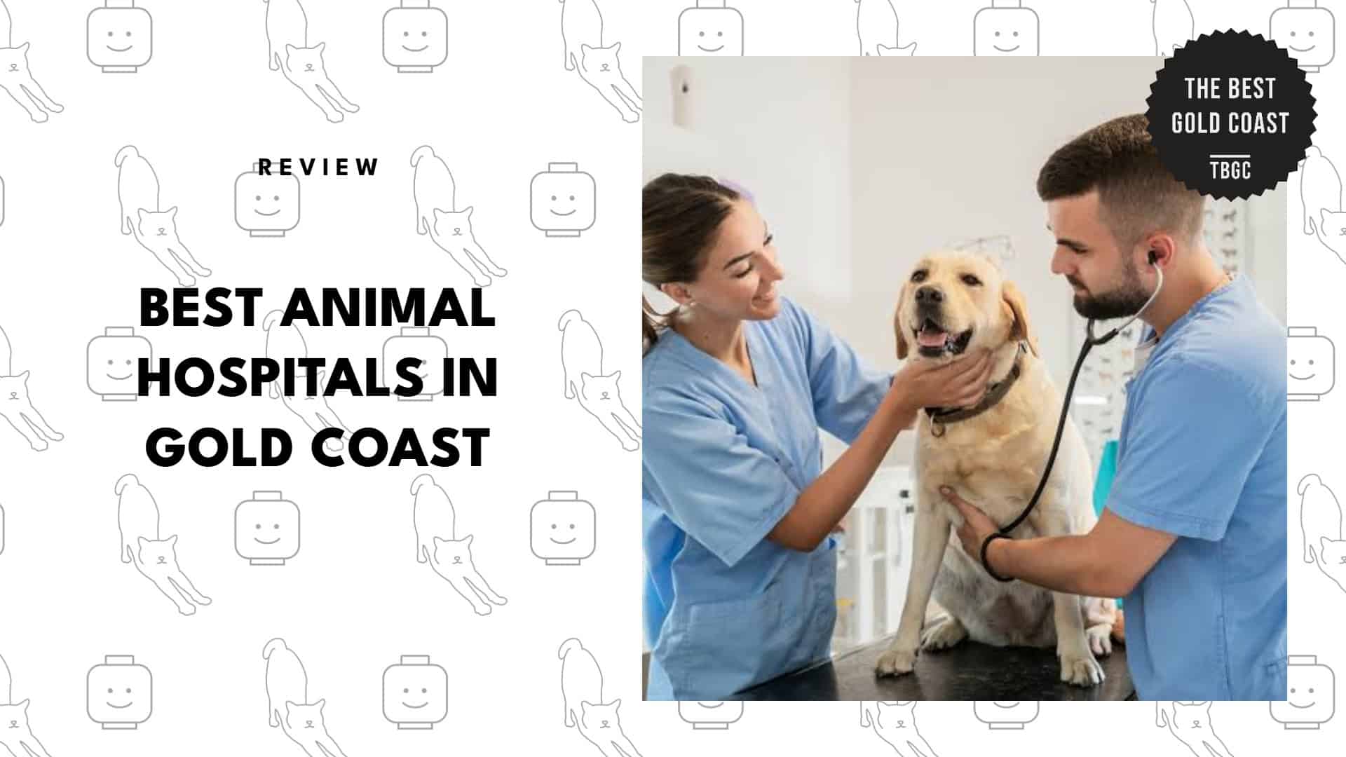 best-animal-hospitals-gold-coast