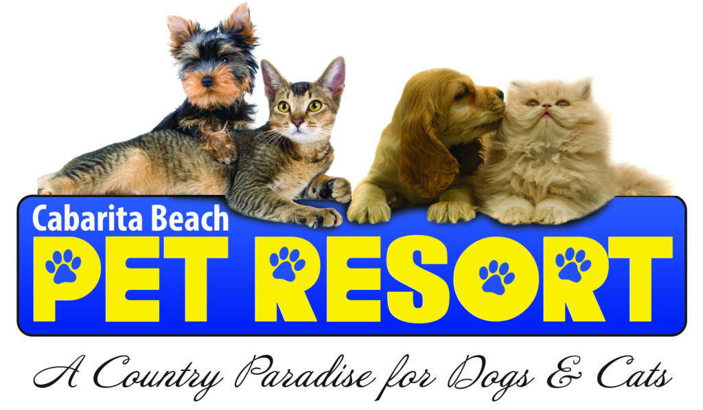 cabarita beach pet resort