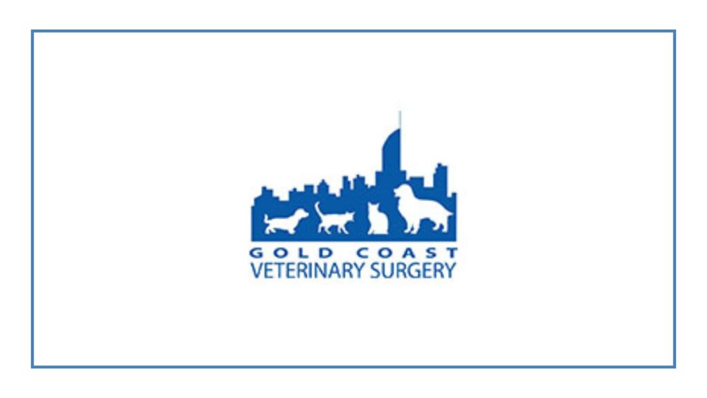 gold-coast-vet-surgery